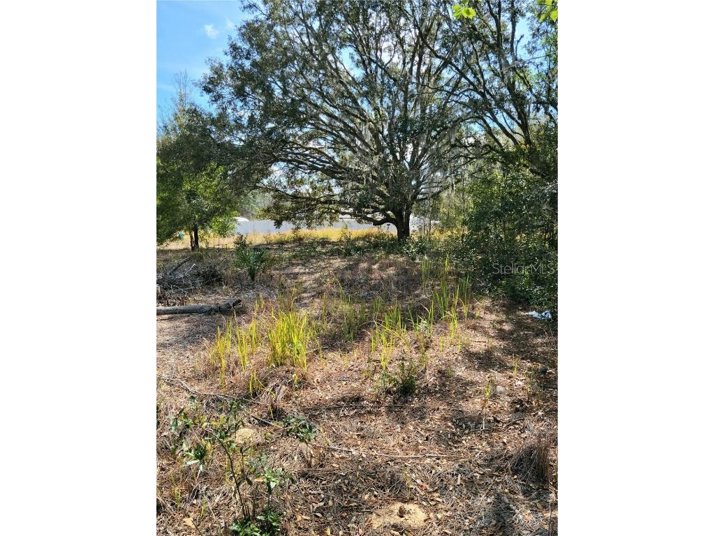 0 Locust Pass Place Ocala FL 34472 OM650148 image1