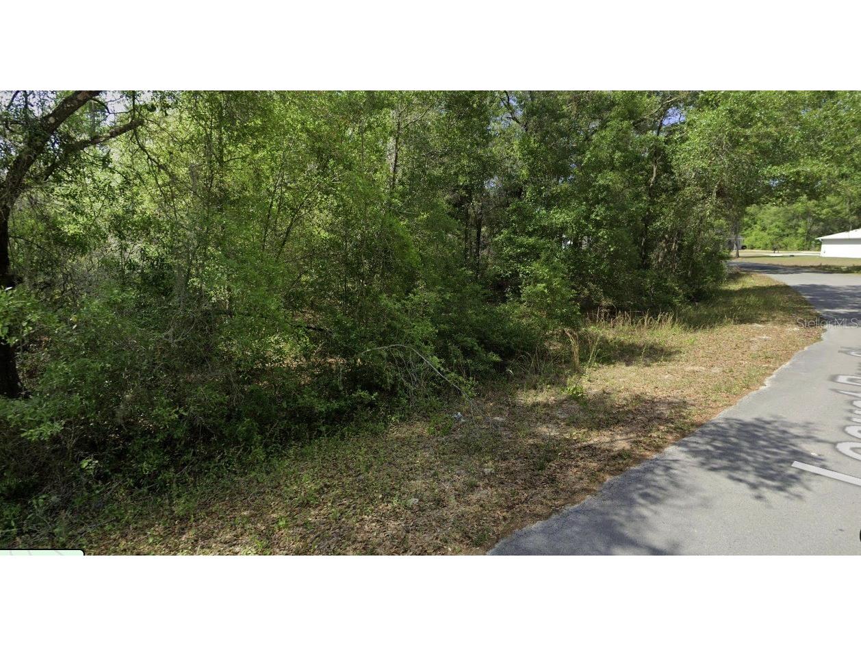 0 Locust Run Cir Ocala FL 34472 O6356146 image8