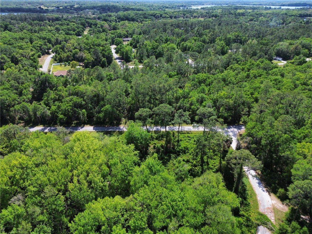 0 Locust Run Drive Ocala FL 34472 OM699063 image2