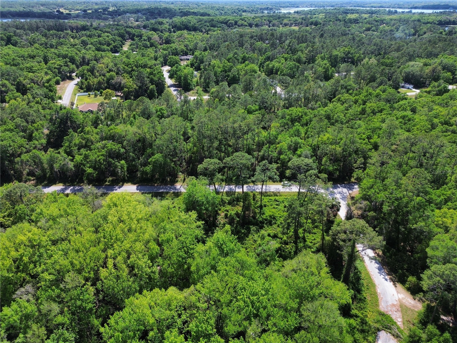TBD Locust Run Drive Ocala FL 34472 OM699063 image3