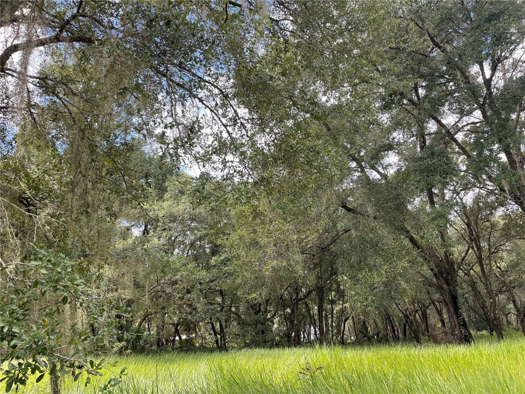 0 Locust Run Ocala FL 34470 OM646204 image1