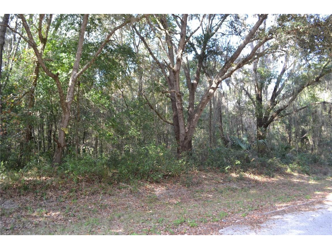 0 Locust Terrace Place Ocala FL 34472 OM668080 image1