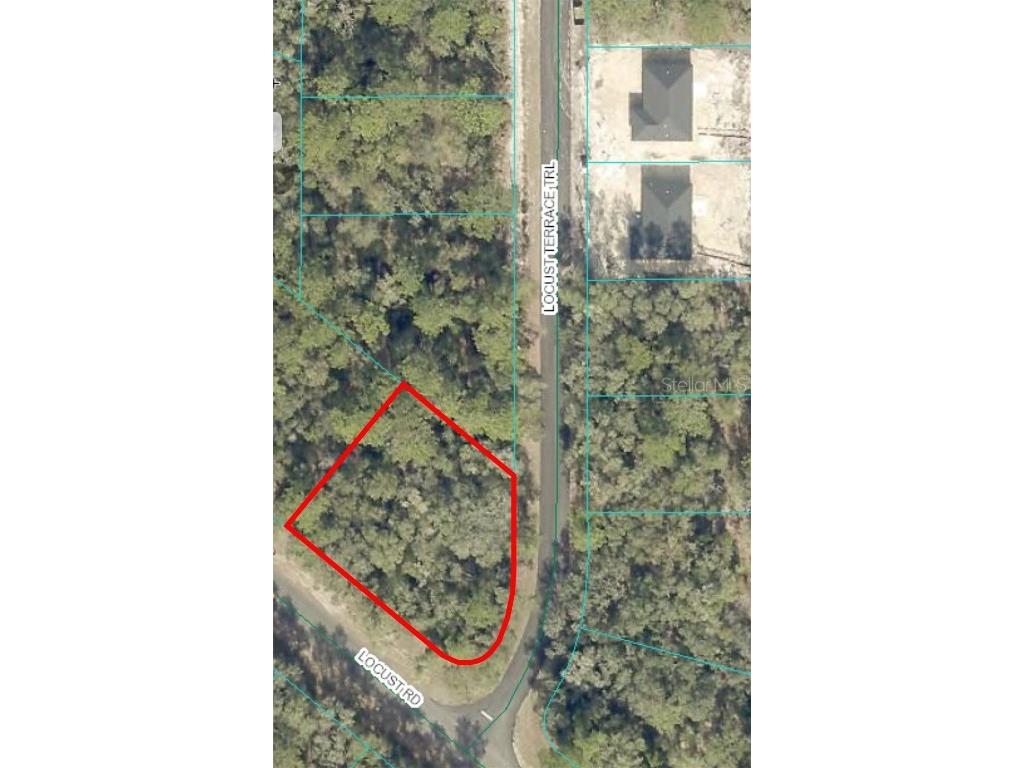 0 Locust Terrace Trail Ocklawaha FL 32179 OM693322 image1