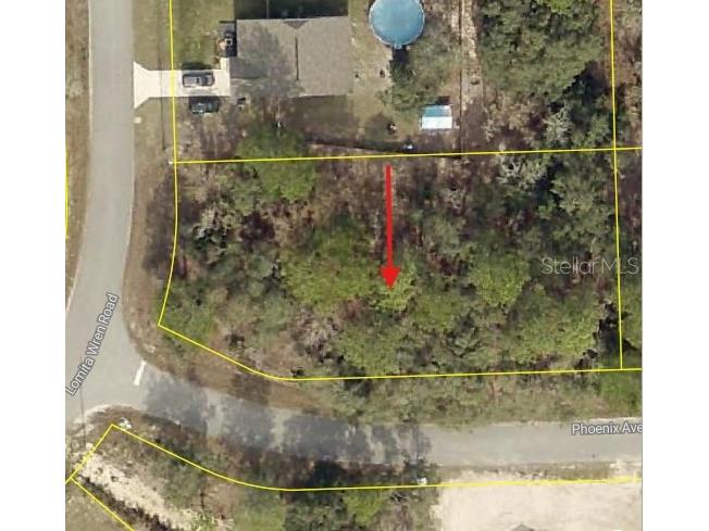 0 Lomita Wren Road Weeki Wachee FL 34614 W7883767 image1