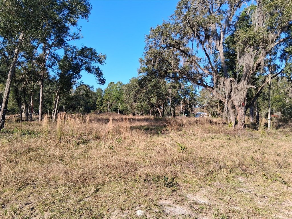 0 Long Circle Webster FL 33597 W7880916 image1