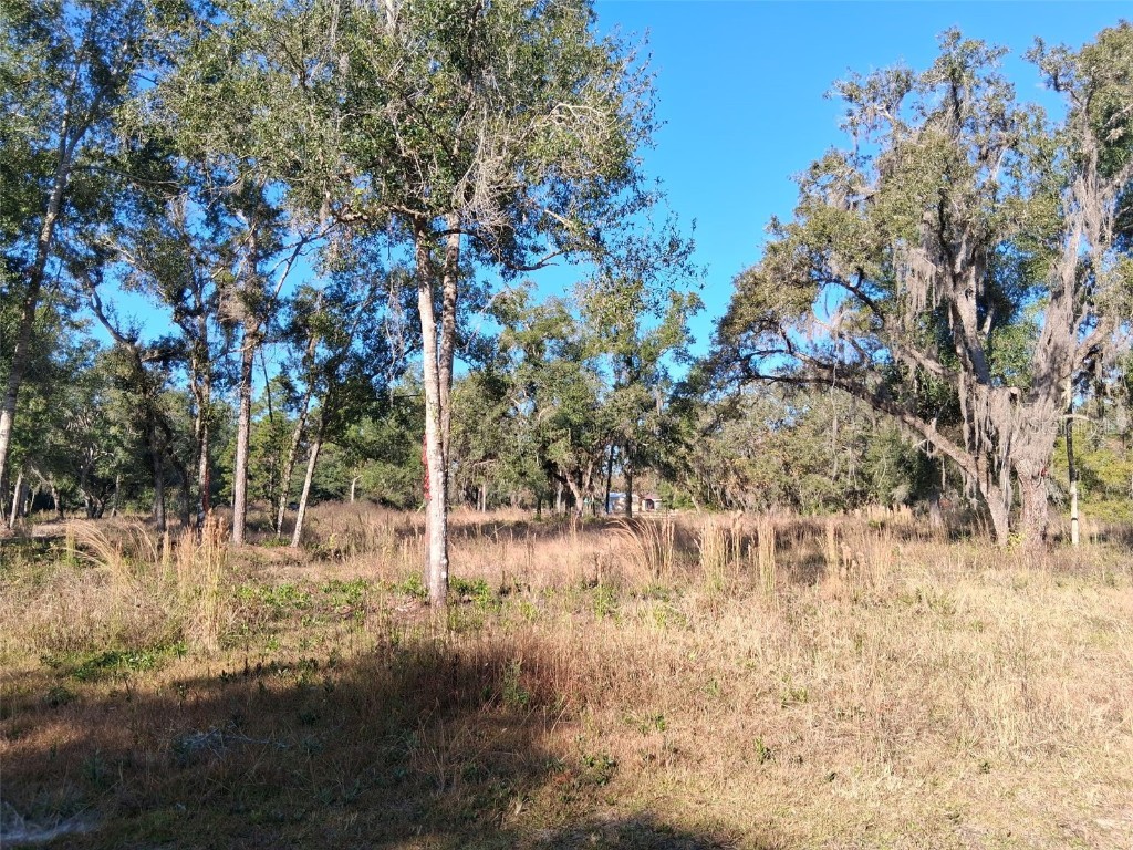 0 Long Circle Webster FL 33597 W7880916 image3