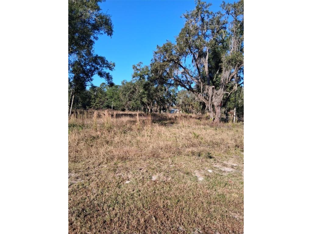 0 Long Circle Webster FL 33597 W7880916 image4