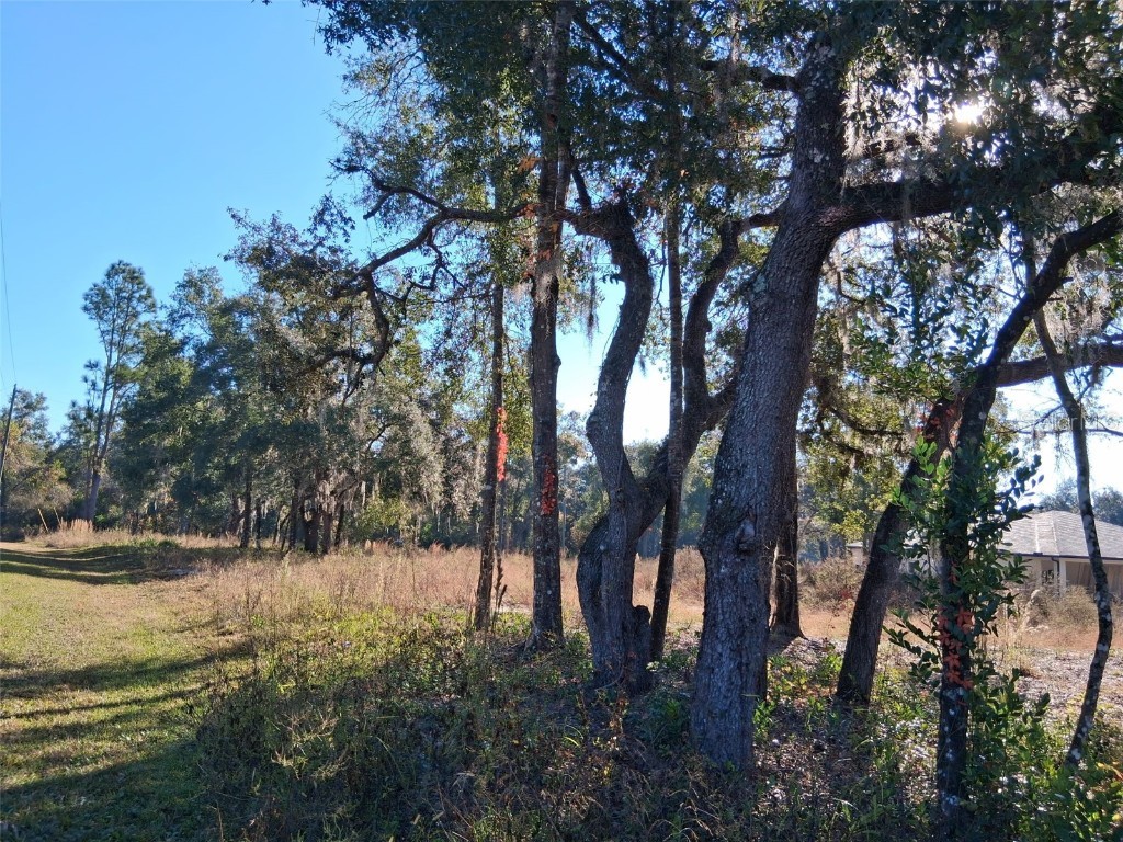 0 Long Circle Webster FL 33597 W7880916 image5
