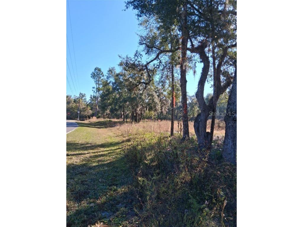 0 Long Circle Webster FL 33597 W7880916 image6