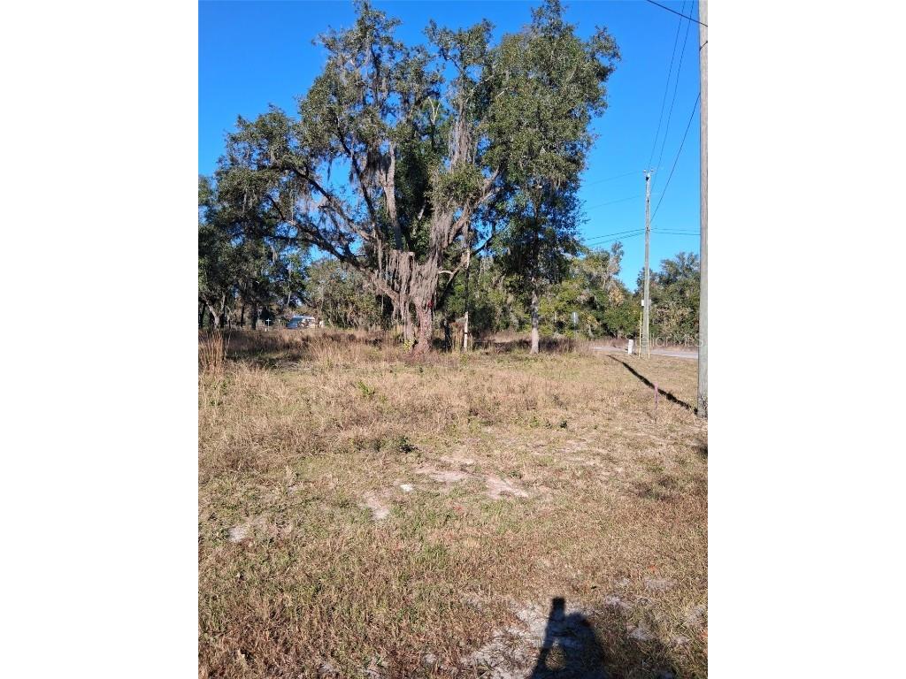0 Long Circle Webster FL 33597 W7880916 image7