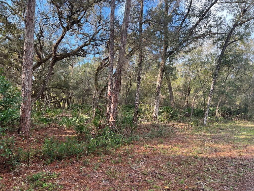0 Long Lot #10 Circle Webster FL 33597 - Long Lake G5050469 image1