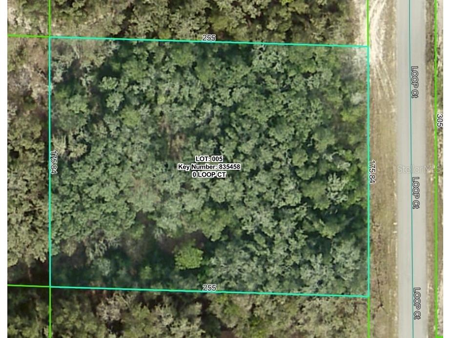 0 Loop Court Webster FL 33597 W7881600 image1