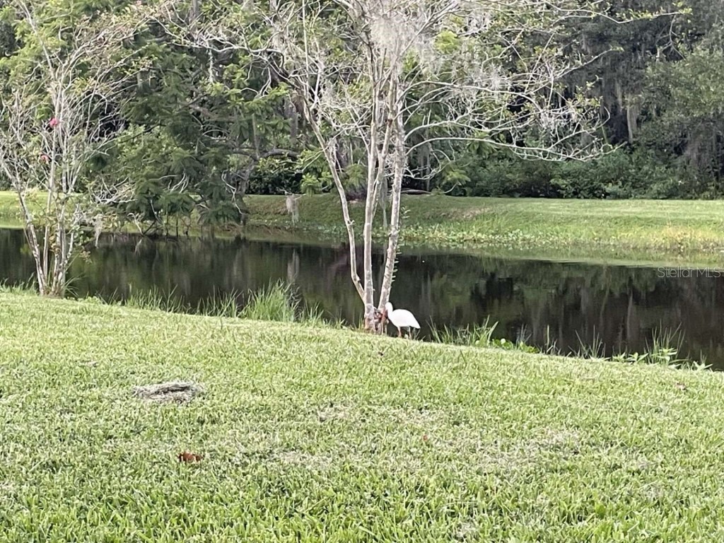 0 Loquat Lane Sarasota FL 34232 TB8428391 image2