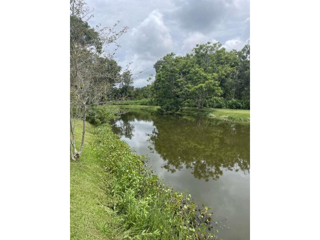 0 Loquat Lane Sarasota FL 34232 TB8428391 image3