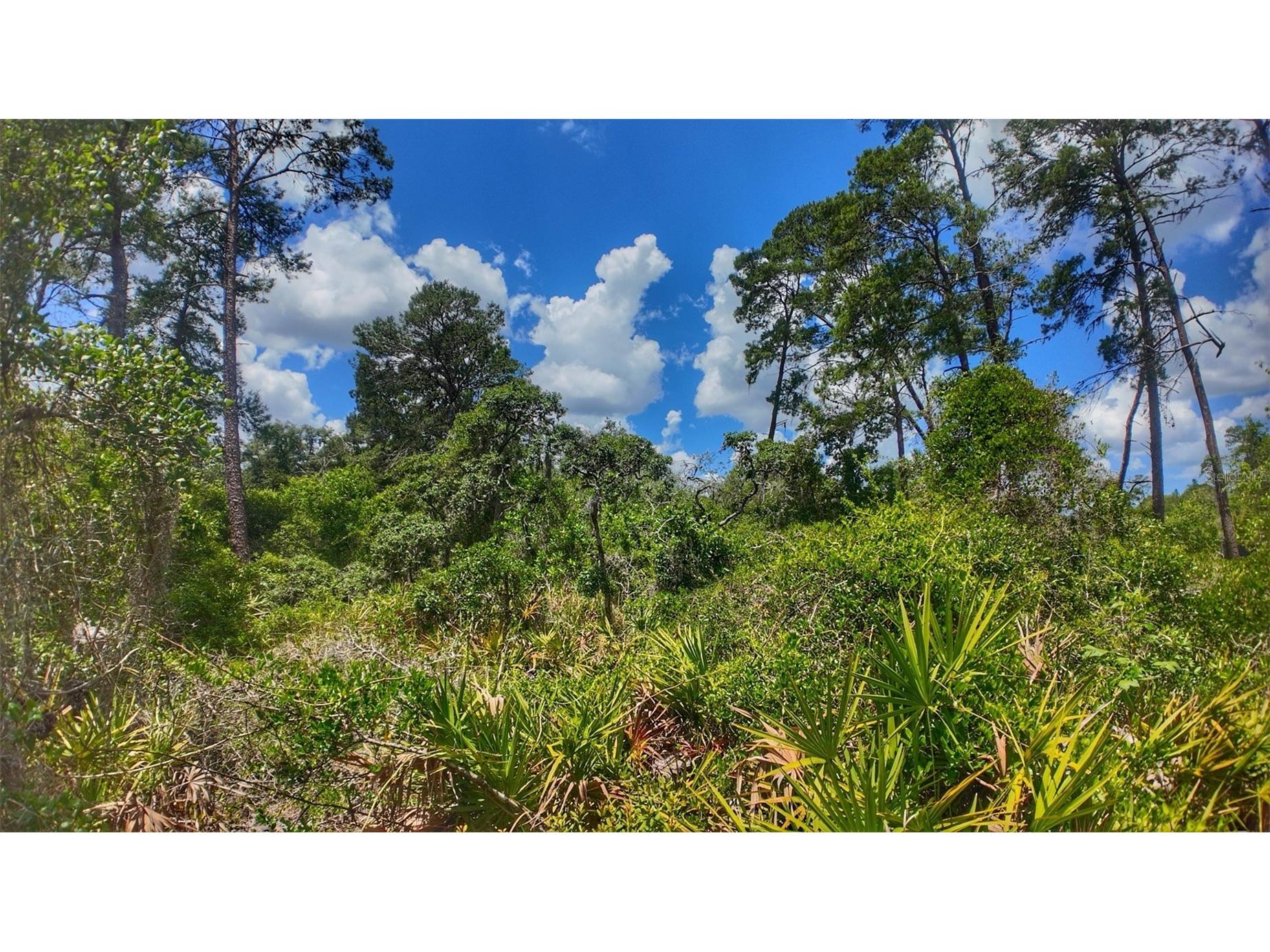 0 Lot 0370 New Port Richey FL 34654 TB8510658 image1