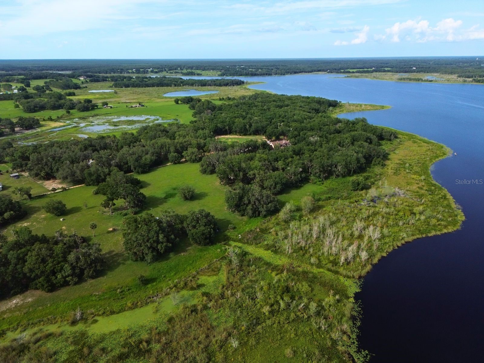 0 LOT 1 Catbrier Lane Umatilla FL 32784 - Ella G5098517 image13