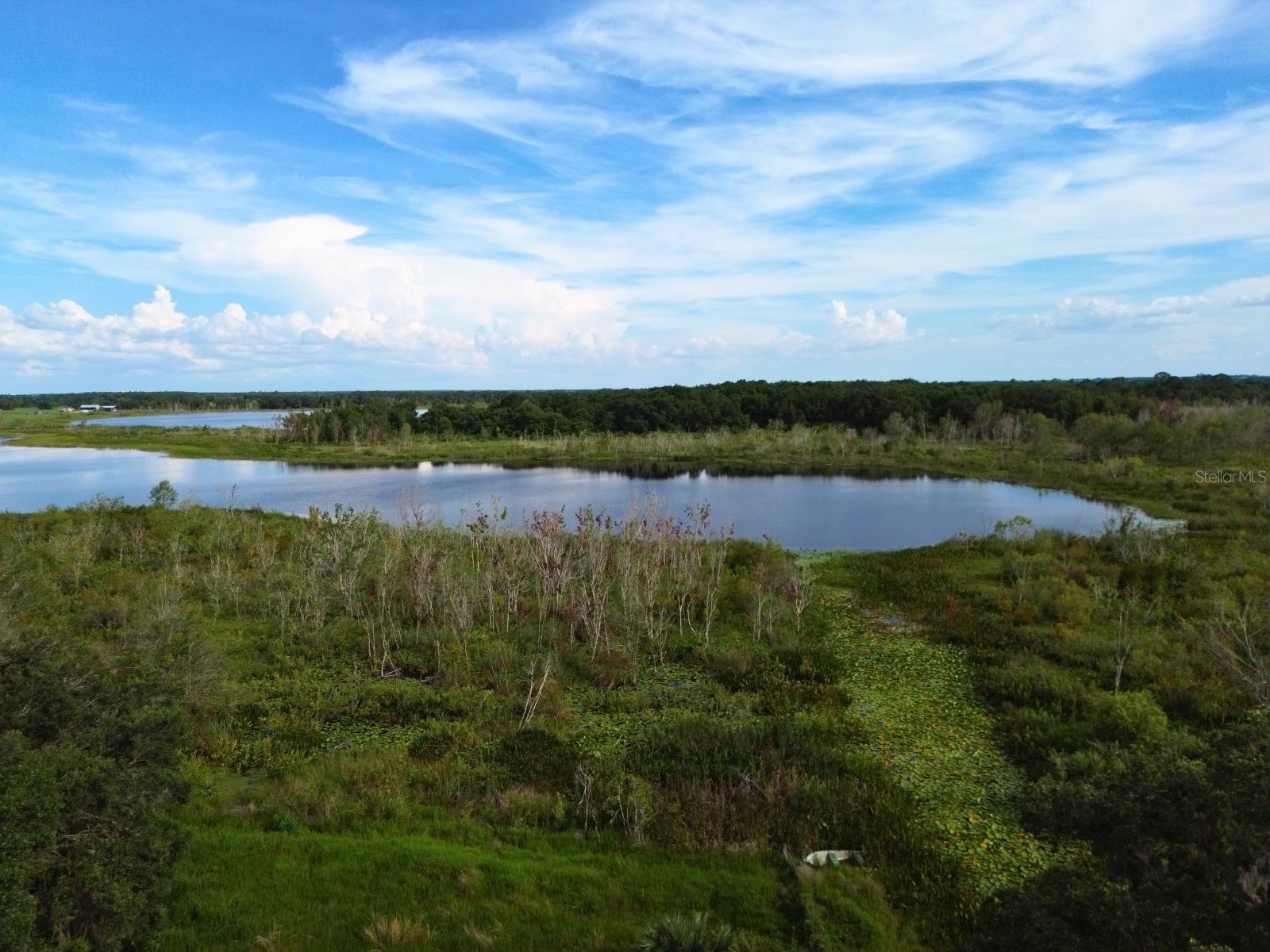 0 LOT 1 Catbrier Lane Umatilla FL 32784 - Ella G5098517 image17