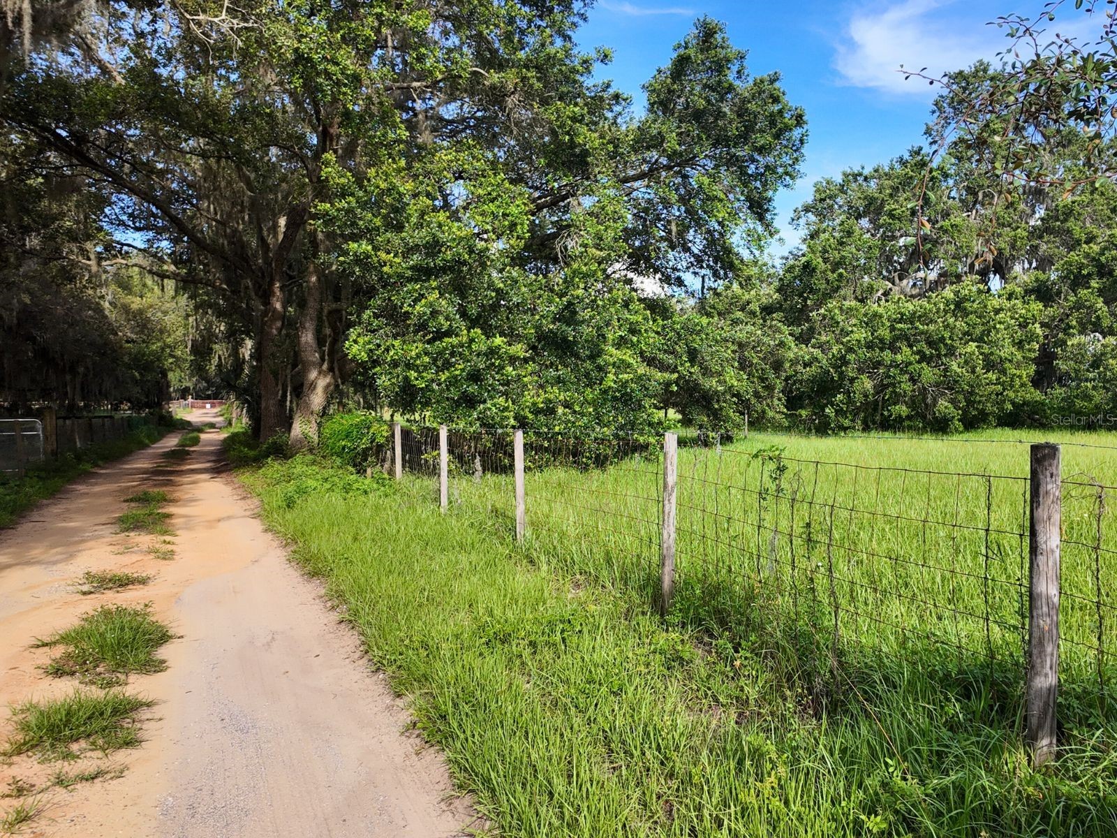 0 LOT 1 Catbrier Lane Umatilla FL 32784 - Ella G5098517 image18