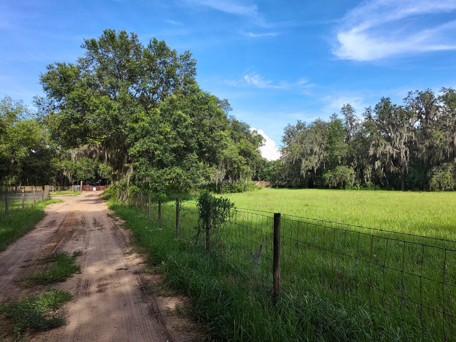 0 LOT 1 Catbrier Lane Umatilla FL 32784 - Ella G5098517 image19