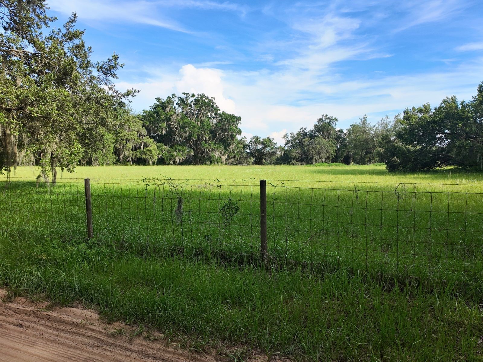 0 LOT 1 Catbrier Lane Umatilla FL 32784 - Ella G5098517 image20