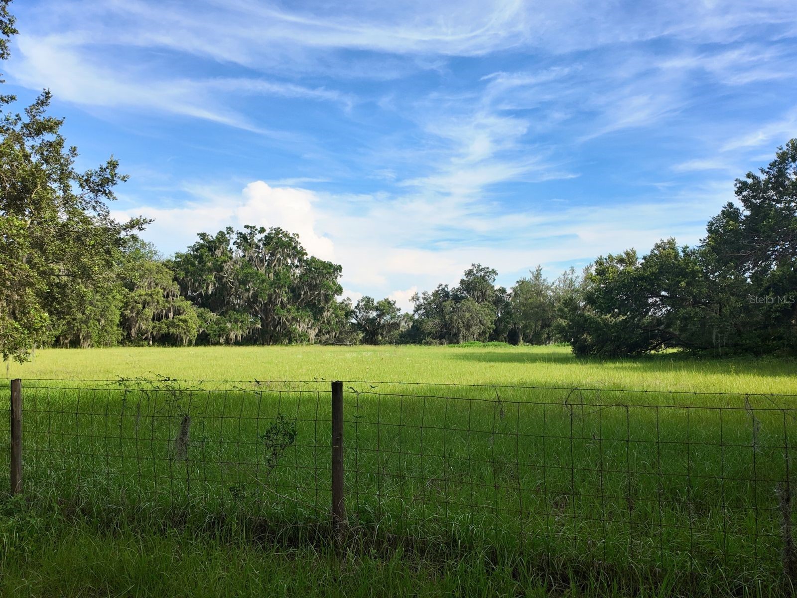 0 LOT 1 Catbrier Lane Umatilla FL 32784 - Ella G5098517 image21