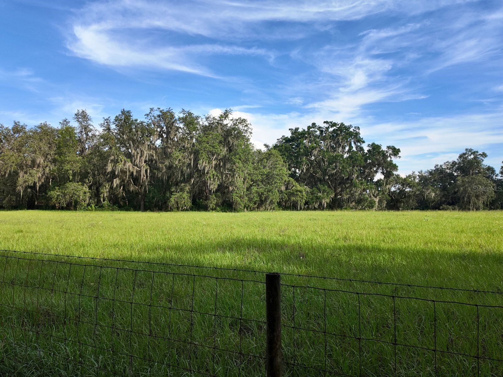 0 LOT 1 Catbrier Lane Umatilla FL 32784 - Ella G5098517 image22
