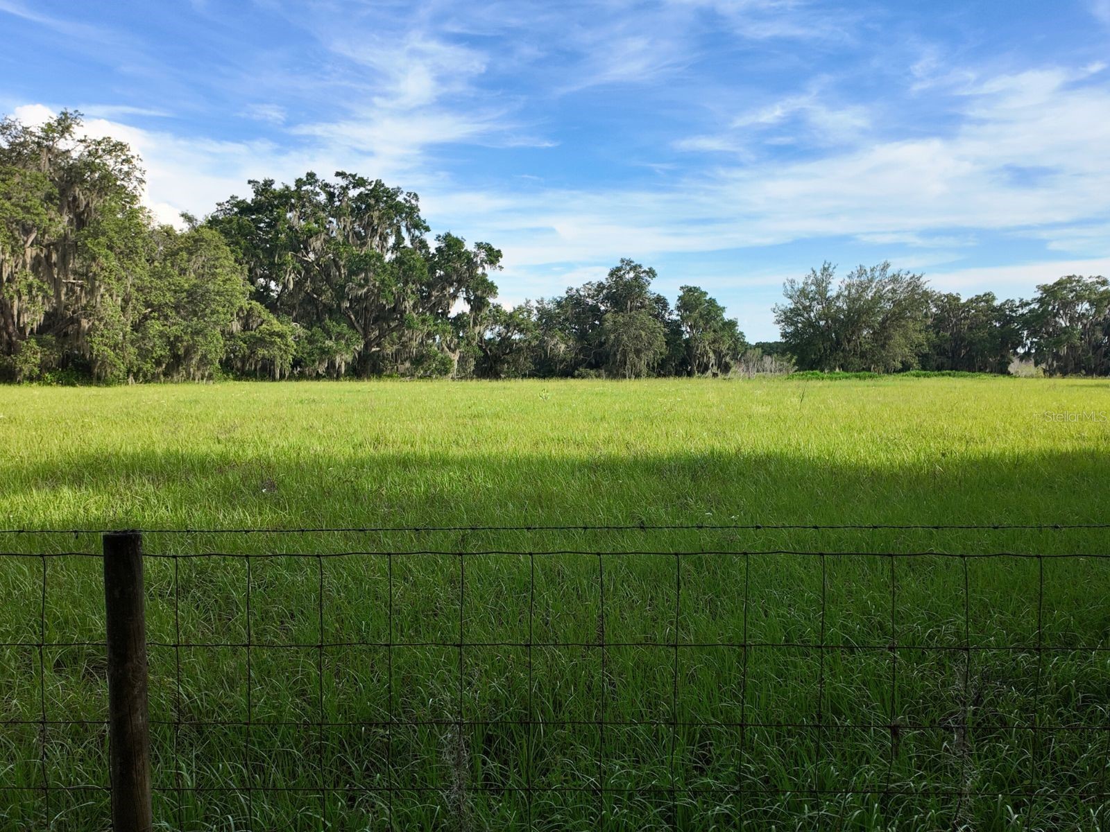 0 LOT 1 Catbrier Lane Umatilla FL 32784 - Ella G5098517 image23