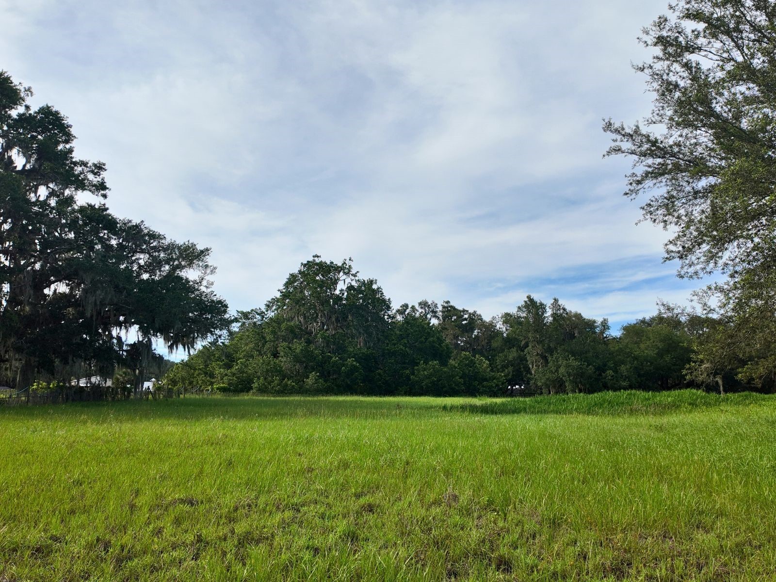 0 LOT 1 Catbrier Lane Umatilla FL 32784 - Ella G5098517 image24