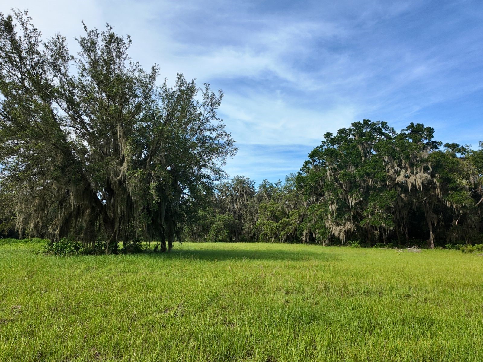 0 LOT 1 Catbrier Lane Umatilla FL 32784 - Ella G5098517 image25