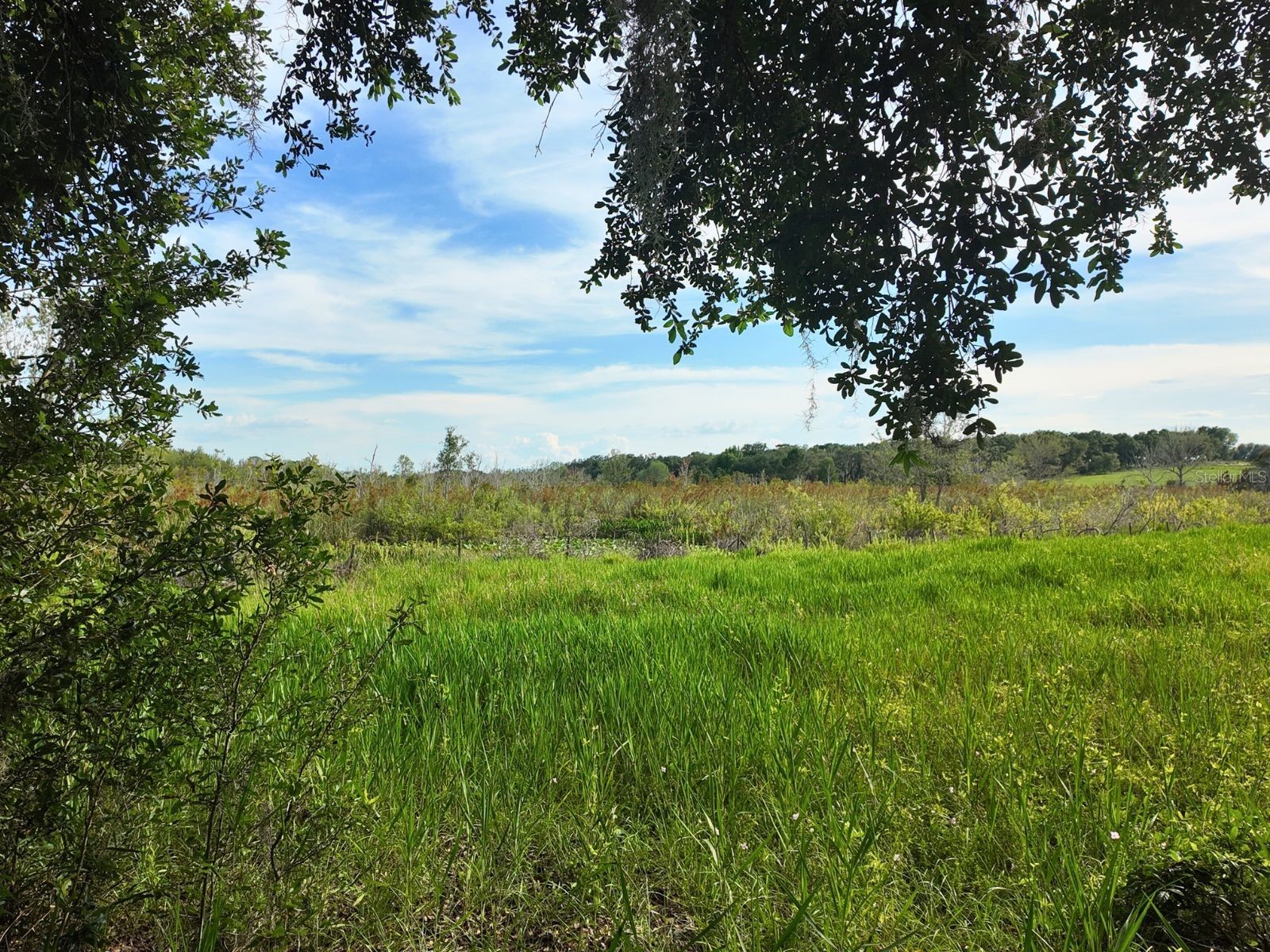 0 LOT 1 Catbrier Lane Umatilla FL 32784 - Ella G5098517 image27