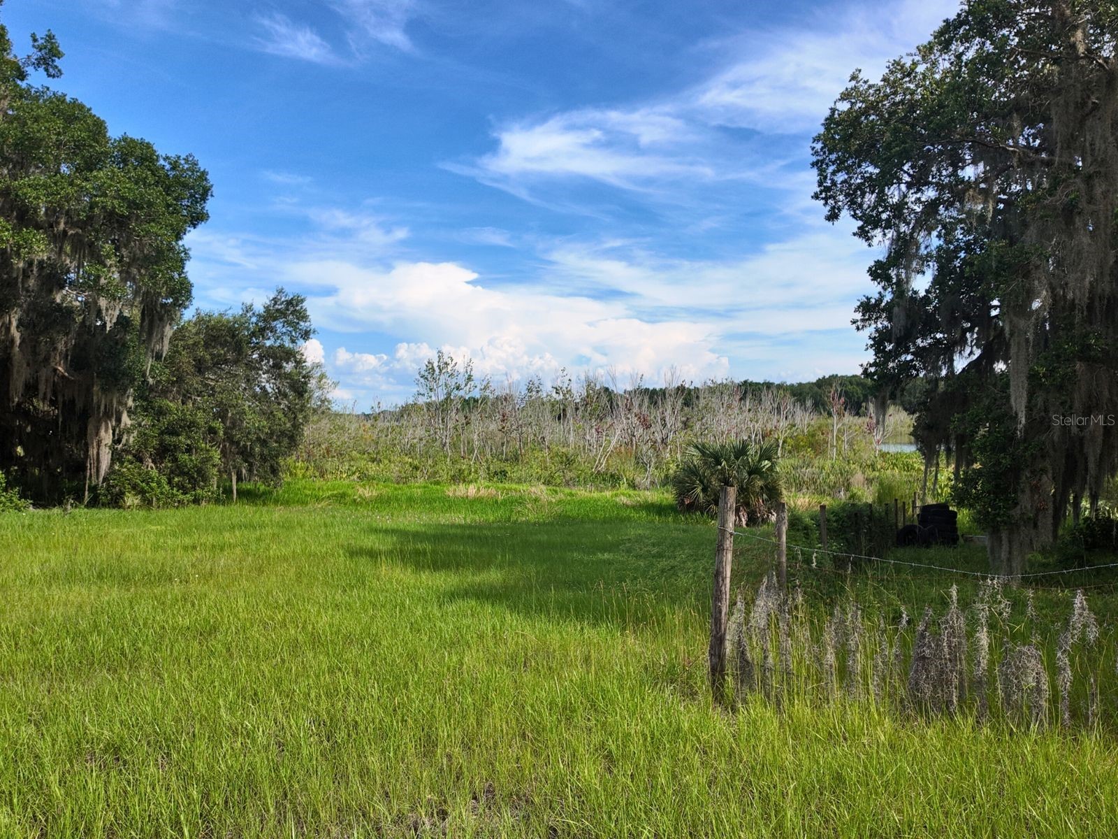 0 LOT 1 Catbrier Lane Umatilla FL 32784 - Ella G5098517 image28