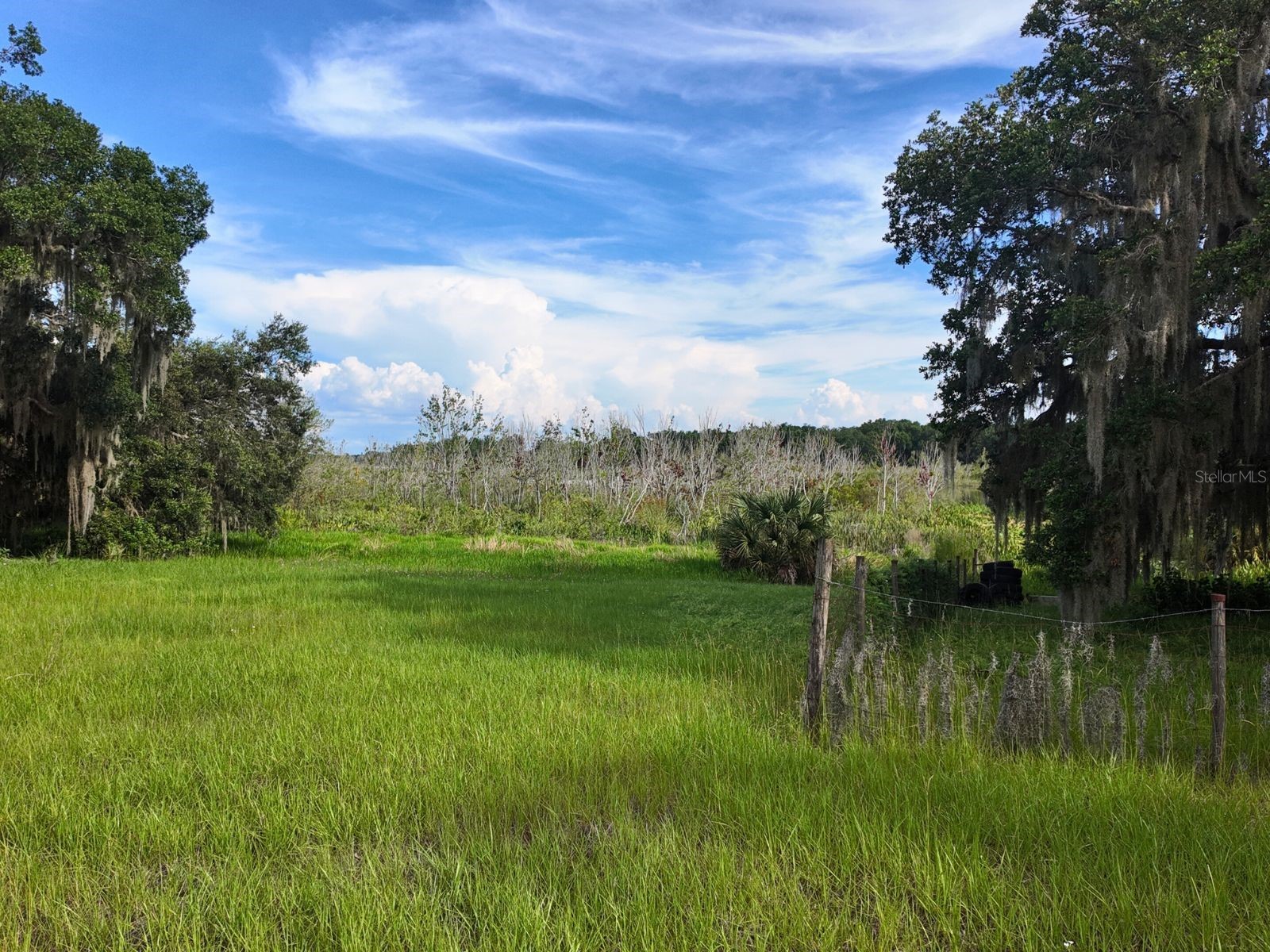 0 LOT 1 Catbrier Lane Umatilla FL 32784 - Ella G5098517 image33