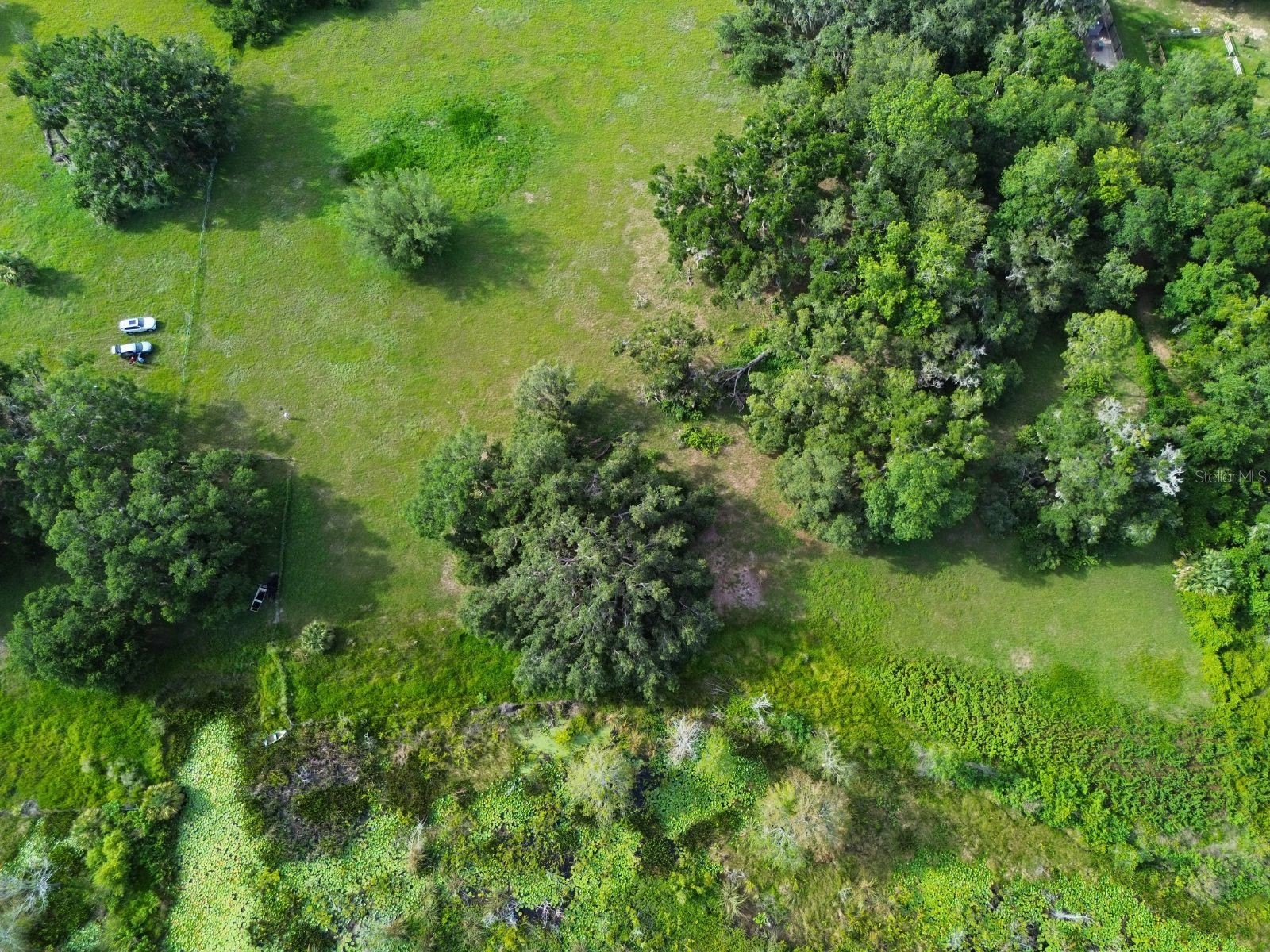 0 LOT 1 Catbrier Lane Umatilla FL 32784 - Ella G5098517 image37