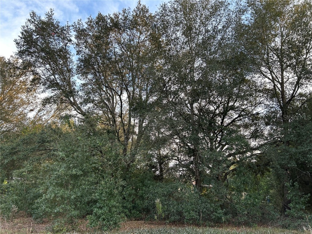 0 Lot 11 & 12 Sw 114th Place Dunnellon FL 34432 OM669350 image1