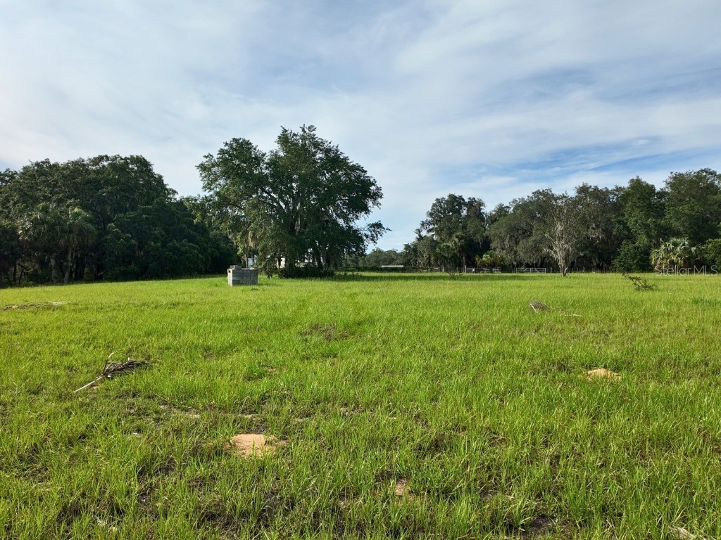 0 LOT 2 Catbrier Lane Umatilla FL 32784 - Ella G5098516 image13