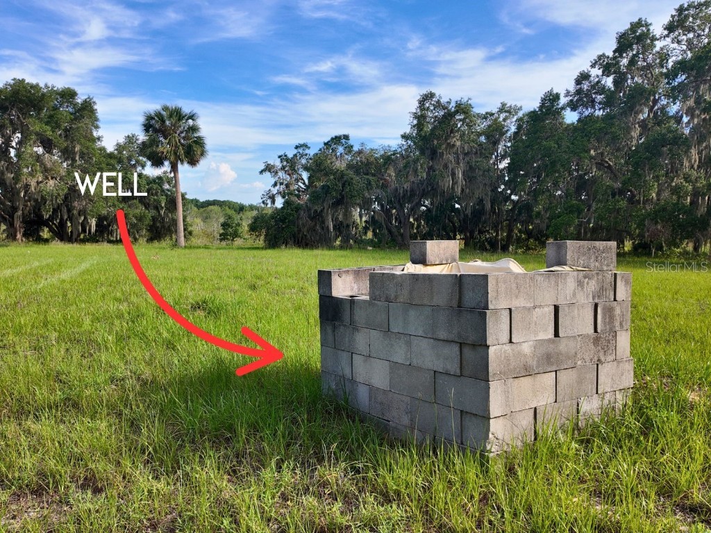 0 LOT 2 Catbrier Lane Umatilla FL 32784 - Ella G5098516 image14