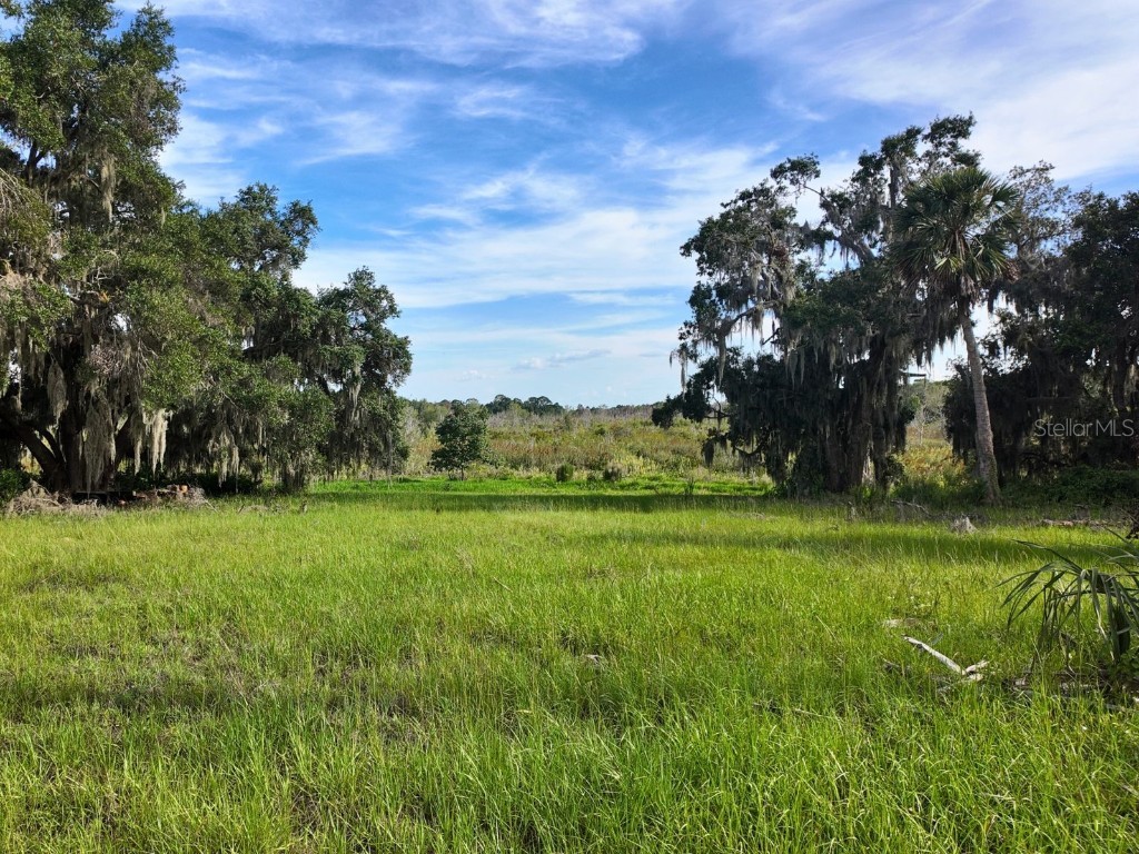 0 LOT 2 Catbrier Lane Umatilla FL 32784 - Ella G5098516 image17