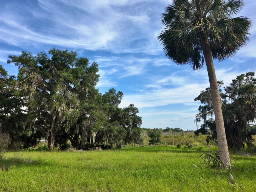 0 LOT 2 Catbrier Lane Umatilla FL 32784 - Ella G5098516 image18