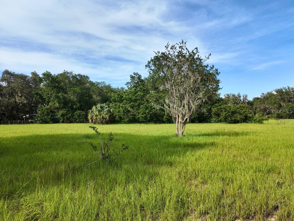 0 LOT 2 Catbrier Lane Umatilla FL 32784 - Ella G5098516 image19