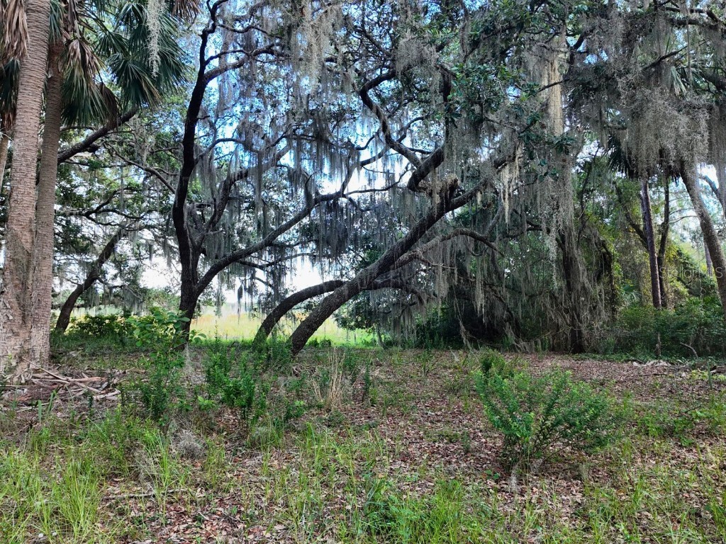 0 LOT 2 Catbrier Lane Umatilla FL 32784 - Ella G5098516 image21