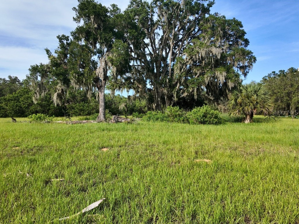 0 LOT 2 Catbrier Lane Umatilla FL 32784 - Ella G5098516 image22