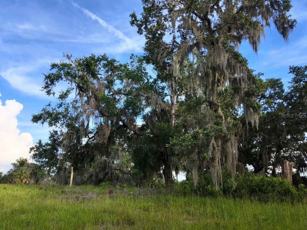 0 LOT 2 Catbrier Lane Umatilla FL 32784 - Ella G5098516 image23