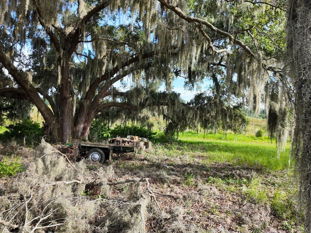 0 LOT 2 Catbrier Lane Umatilla FL 32784 - Ella G5098516 image24