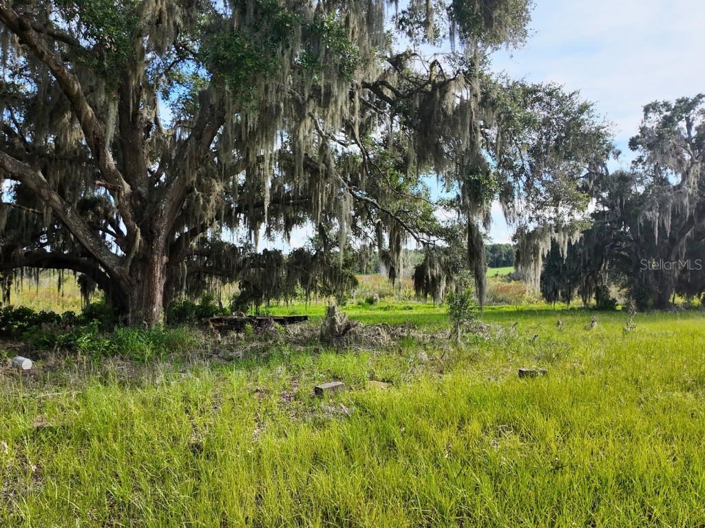 0 LOT 2 Catbrier Lane Umatilla FL 32784 - Ella G5098516 image25
