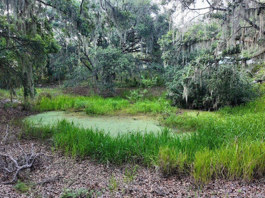 0 LOT 2 Catbrier Lane Umatilla FL 32784 - Ella G5098516 image32