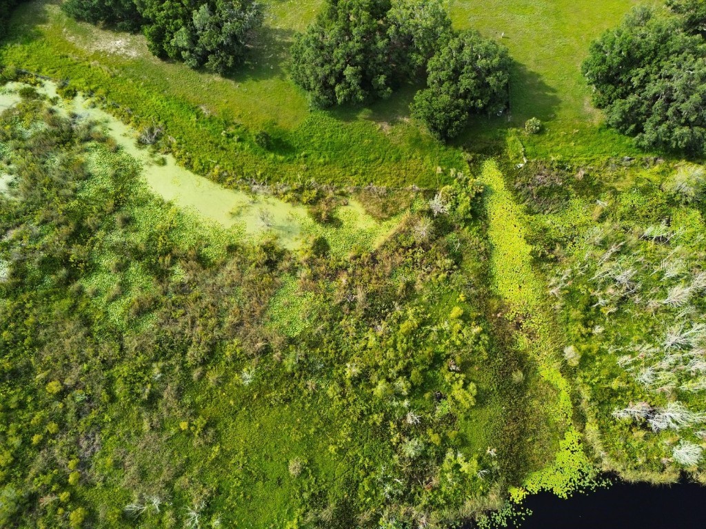 0 LOT 2 Catbrier Lane Umatilla FL 32784 - Ella G5098516 image36