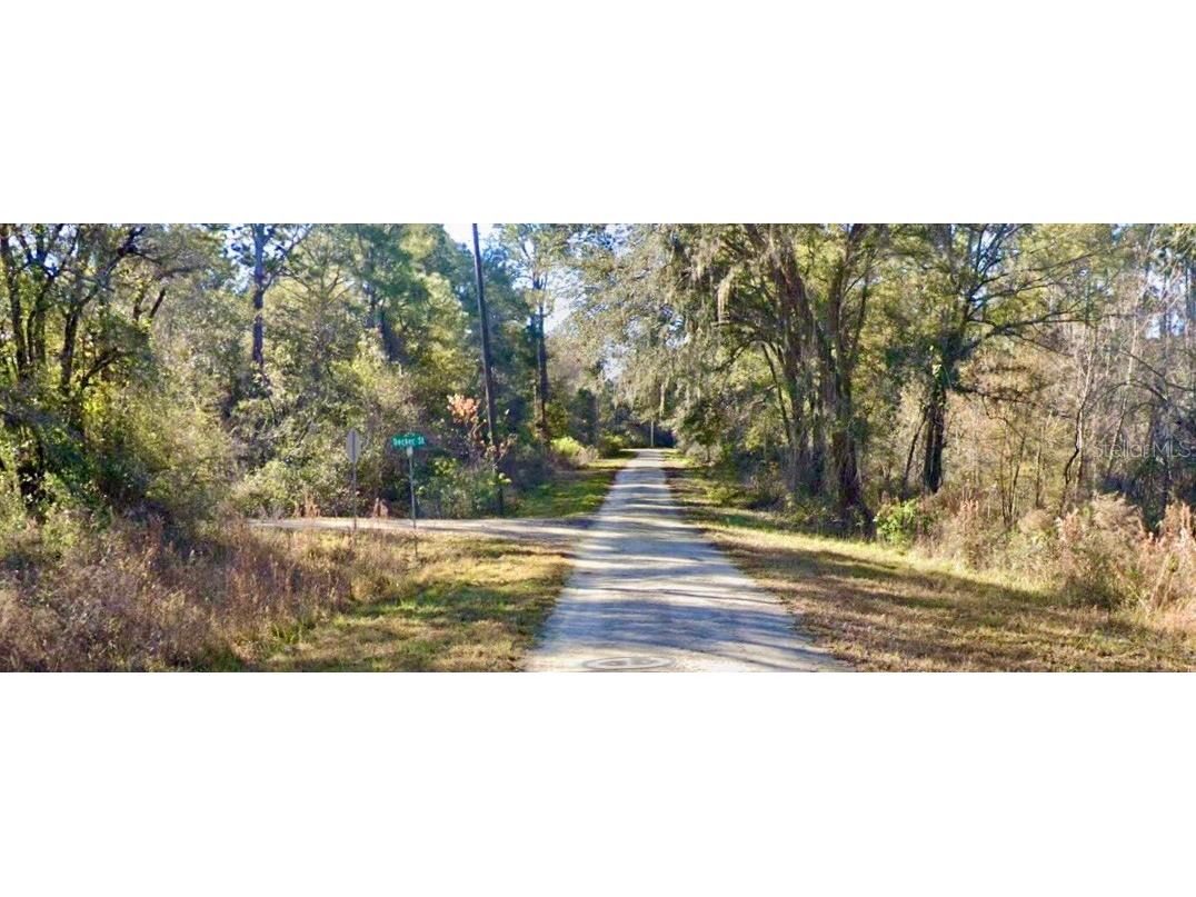 0 LOT 6 Decker Street Webster FL 33597 W7868122 image1