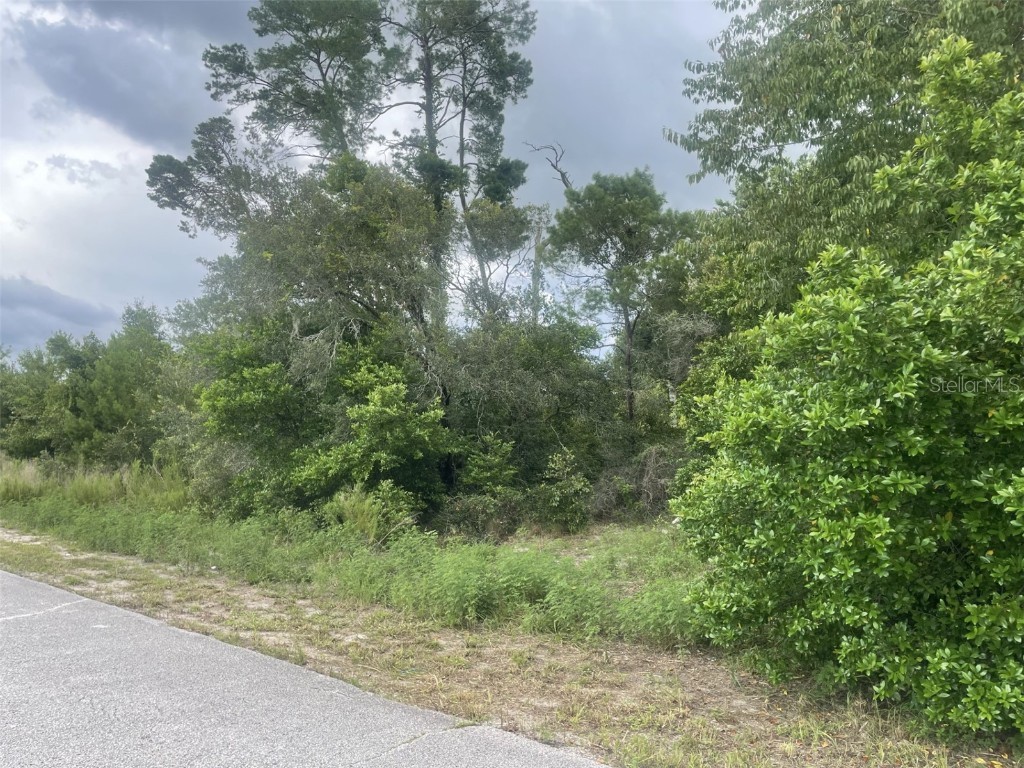 0 Lyon Road Spring Hill FL 34606 T3542550 image1