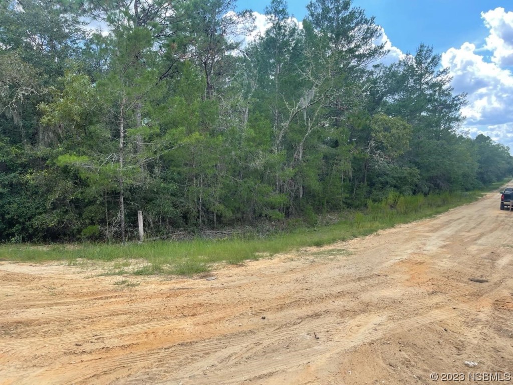 0 Linda Street Out Of Area FL 32148 NS1076905 image1