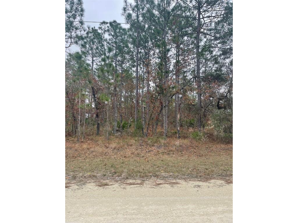 0 Macassar Road Weeki Wachee FL 34614 T3495057 image1